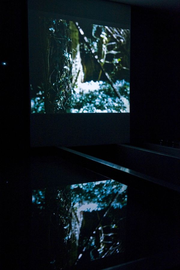 Installation view of Embodied Space 2010 by Ella Condon