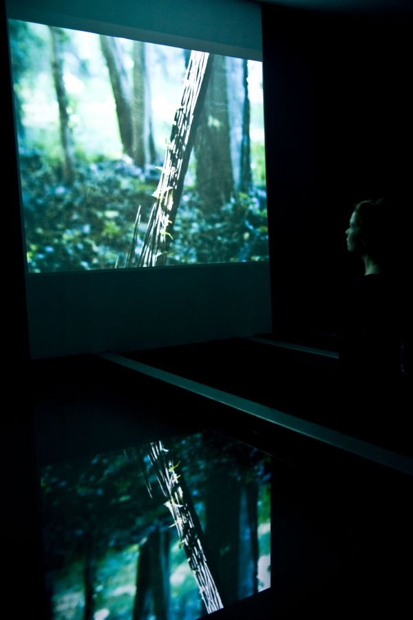 Installation view of Embodied Spaces 2010 by Ella Condon